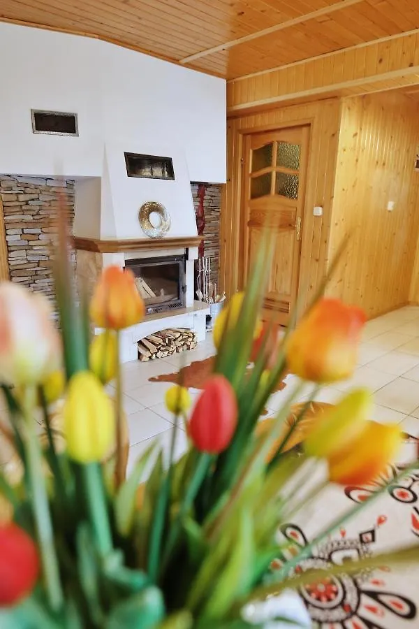 Apartamenty - Wymarzone Widoki Zakopane Lengyelország